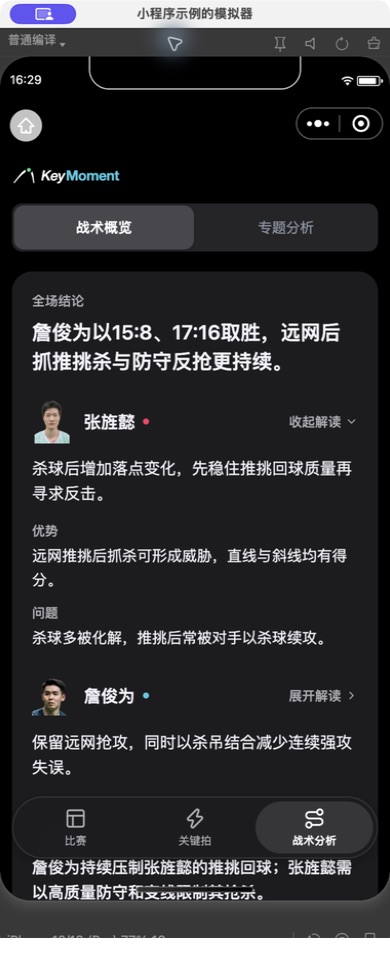 小程序「战术分析」：战术概览与专题分析，结合关键拍聚类呈现优势、问题和证据